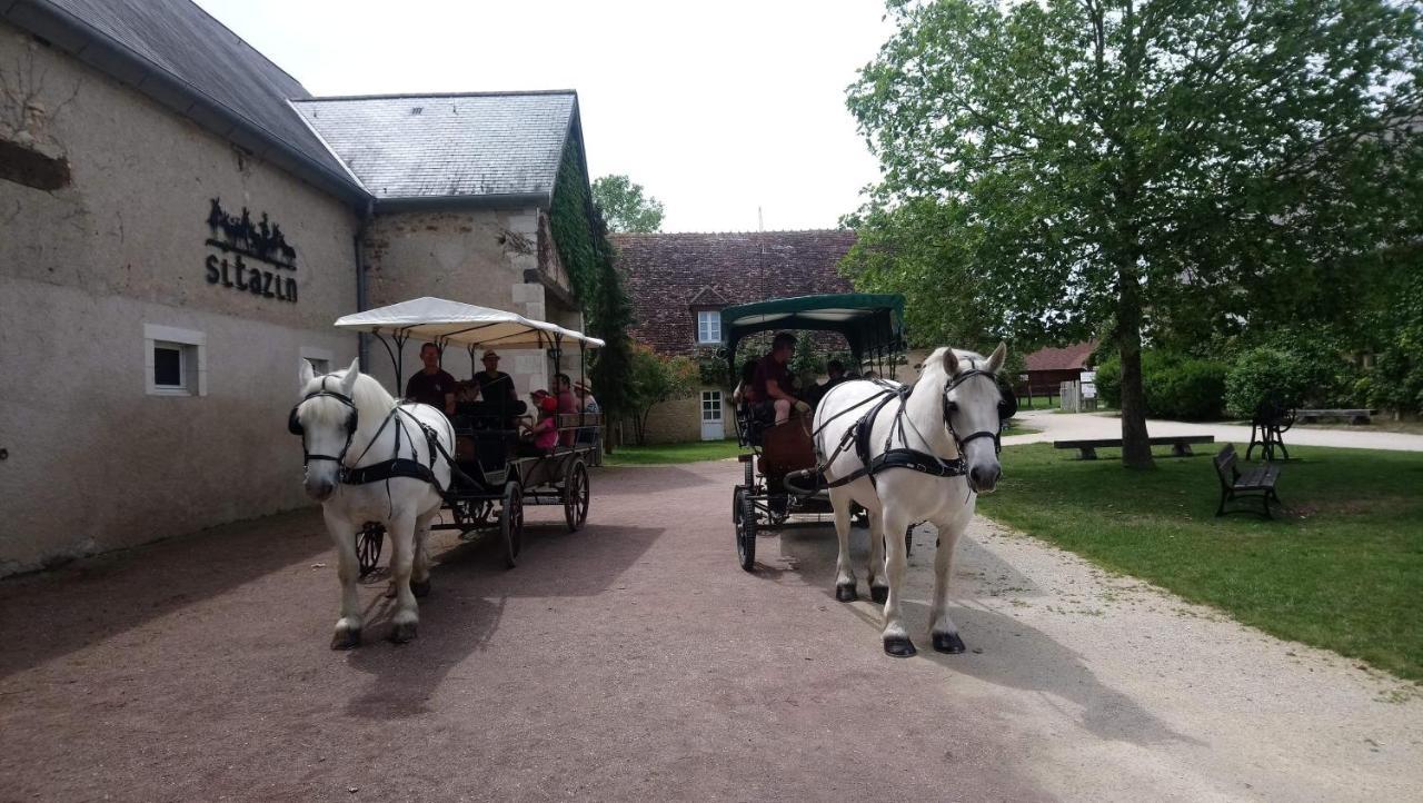 Lignières Le Village De Cottages - Le Pole Du Cheval Et De L'Ane מראה חיצוני תמונה